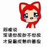 豚鼠电影图解
